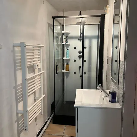 Loft 60 M2 En Pierres Apparentes *